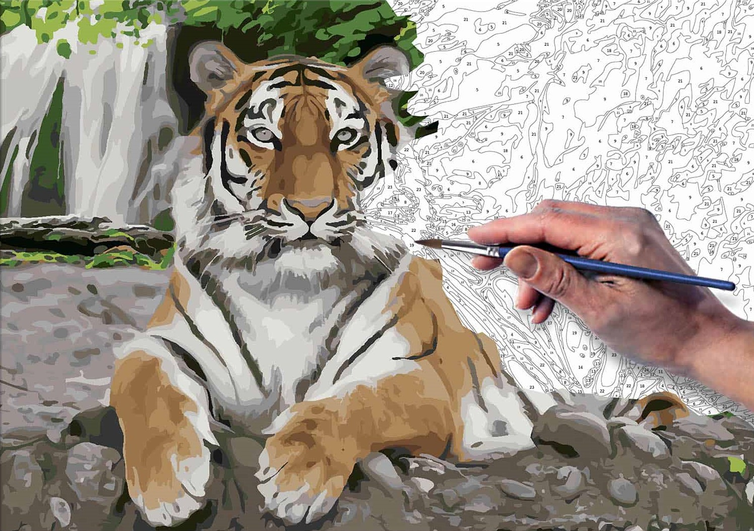 Paint by Numbers